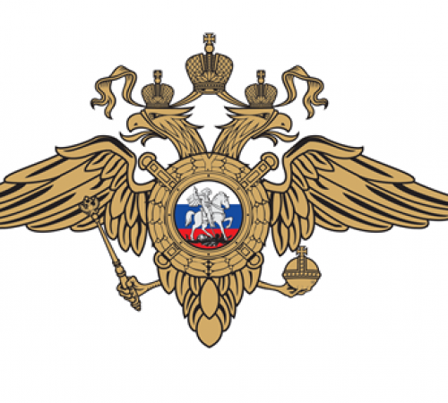 дети писька 